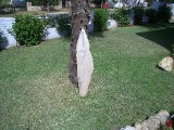 jerrythirdargentinapics 019 